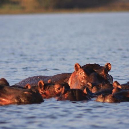 Lake Naivasha Simba Lodge ไนโรบี ภายนอก รูปภาพ