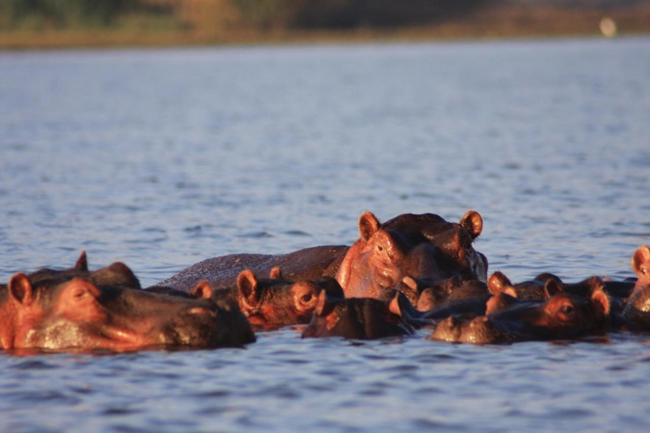 Lake Naivasha Simba Lodge ไนโรบี ภายนอก รูปภาพ