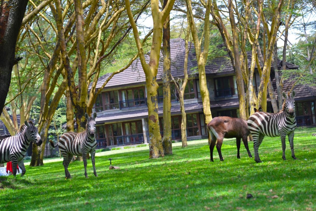 Lake Naivasha Simba Lodge ไนโรบี ภายนอก รูปภาพ